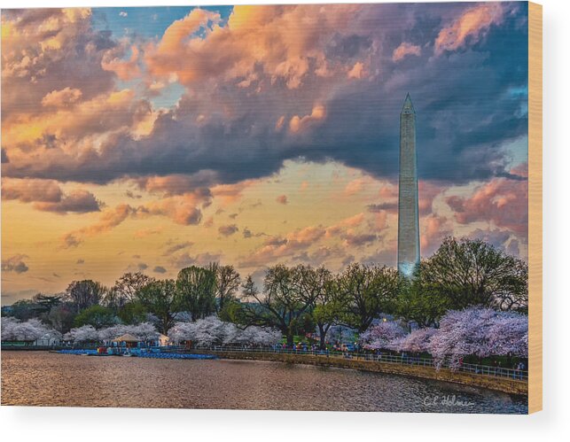 Washington Dc Wood Print featuring the photograph An Evening In DC by Christopher Holmes