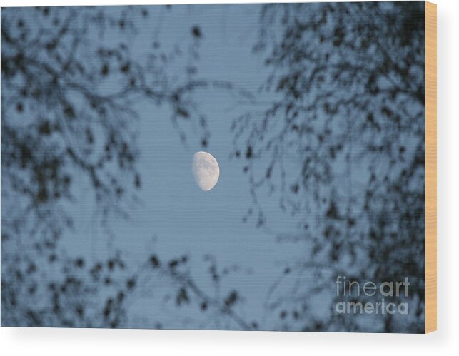 Moon Wood Print featuring the photograph An October Moon by Neal Eslinger