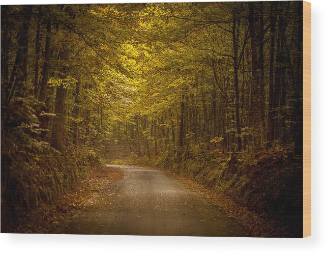 Rodney Wood Print featuring the photograph Country Road in Mississippi by T Lowry Wilson