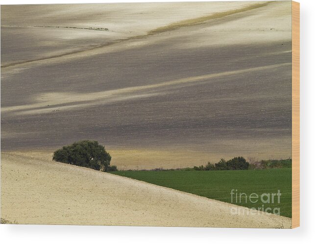 Landscape Wood Print featuring the photograph Andalusian Farmland Series-1 by Heiko Koehrer-Wagner