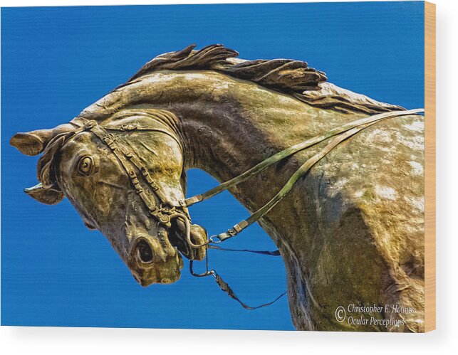Horse Wood Print featuring the photograph Andrew Jackson's Horse by Christopher Holmes
