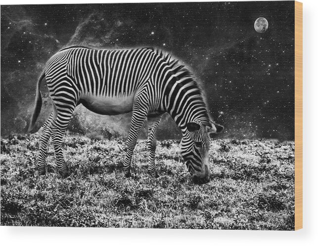 Animal Wood Print featuring the photograph Animal Night by Kevin Cable