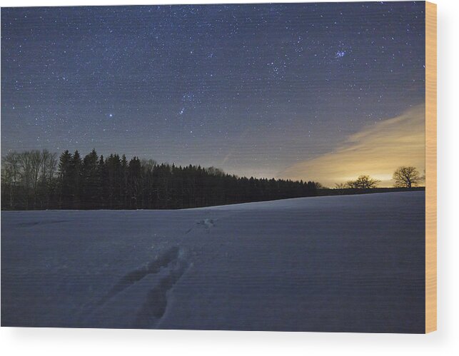 Feb0514 Wood Print featuring the photograph Animal Tracks In Snow Bavaria Germany by Konrad Wothe
