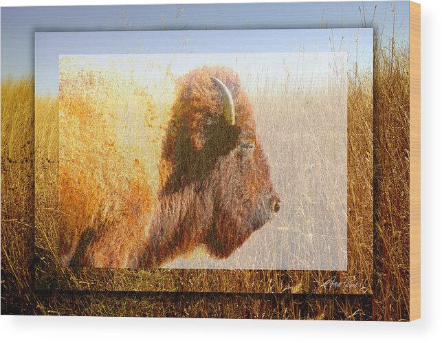 Buffalo Wood Print featuring the digital art animals - bison - Spirit of The Tall Grass by Ann Powell