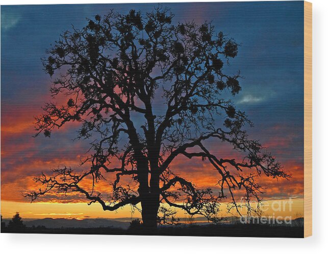 Pacificnorthwest Wood Print featuring the photograph Ankeny Hill Sunset by Nick Boren