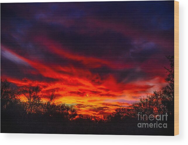 Arizona Wood Print featuring the photograph Another Tucson Sunset by Mark Myhaver