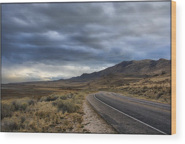 Island Wood Print featuring the photograph Antelope Island Storm by Erika Fawcett