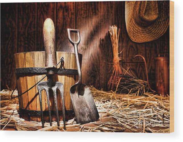 Gardening Wood Print featuring the photograph Antique Gardening Tools by Olivier Le Queinec
