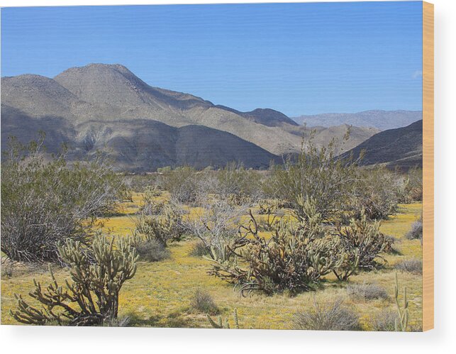 Anza Borrego Wood Print featuring the photograph Anza Borrego 1 by James Knight