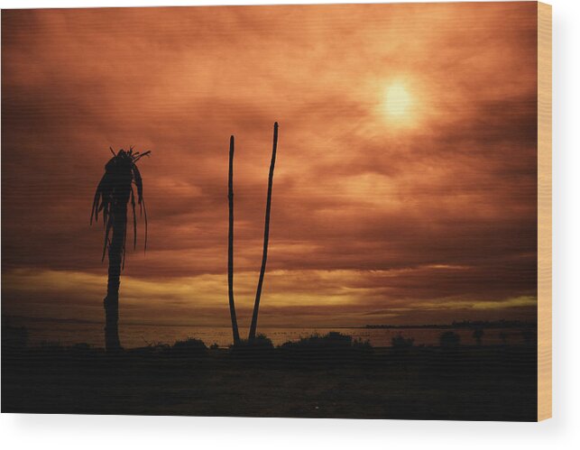 Salton Sea Wood Print featuring the photograph Apocalypse Nowish by Mike Trueblood