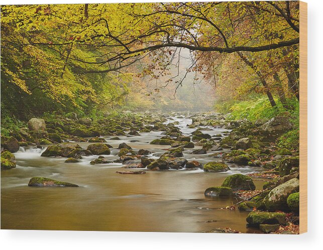 Mountain Stream Wood Print featuring the photograph Appalachian Pulchritude by Brian Simpson