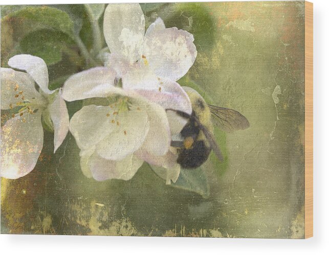 Spring Wood Print featuring the photograph Apple Blossom Time - Bee Included by Carol Senske