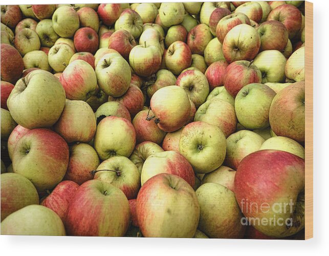 Apple Wood Print featuring the photograph Apples by Olivier Le Queinec