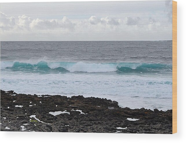 Seascape Wood Print featuring the photograph Aquamarine by Cheri Randolph