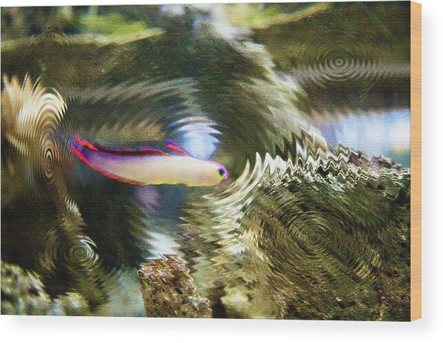 Fish Wood Print featuring the photograph Aquarium Art 25 by Steve Ohlsen