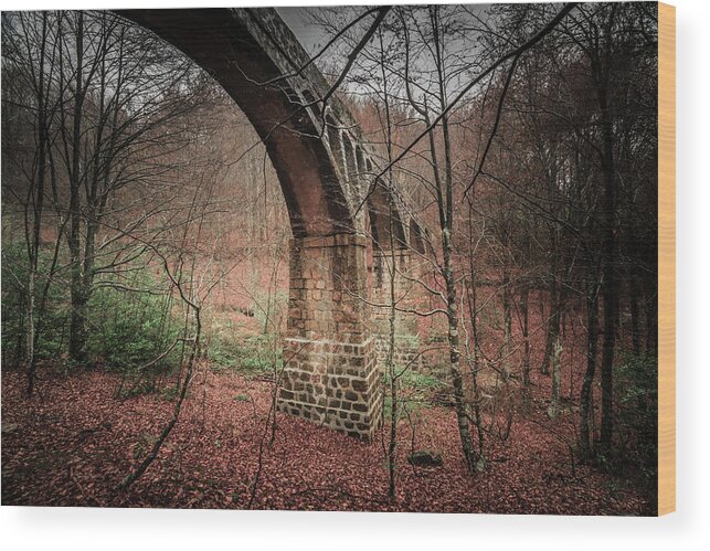 Tranquility Wood Print featuring the photograph Aqueduct In Montseny by Mafr Mcfa