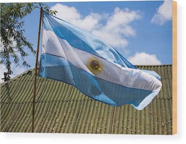 Argentina Wood Print featuring the photograph Argentina Flag by John Daly