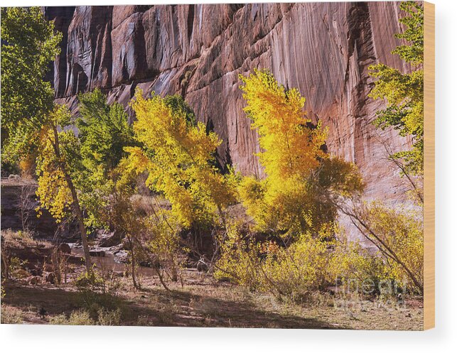 Canyon De Chelly Wood Print featuring the photograph Arizona Autumn Colors by Bob Phillips