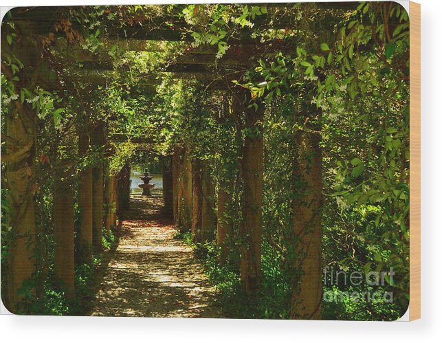 Graden Wood Print featuring the photograph Arlie Italian Pergola Garden by Amy Lucid