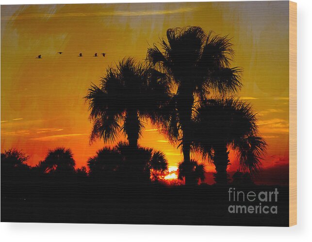 Sunset Wood Print featuring the digital art Artistic Florida Sunset by Jayne Carney