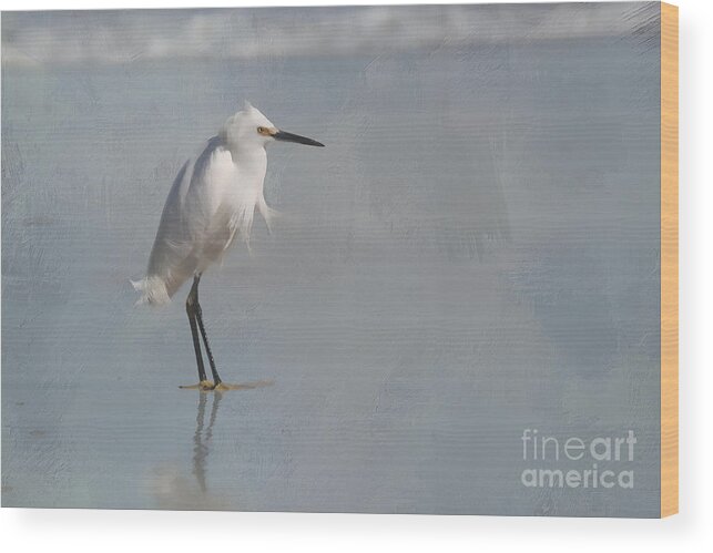 Snowy Wood Print featuring the photograph Artistic Snowy Egret by Jayne Carney