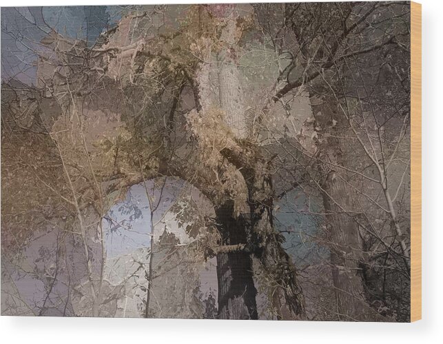 Aspen Wood Print featuring the photograph Aspen Abstract by Bonnie Bruno