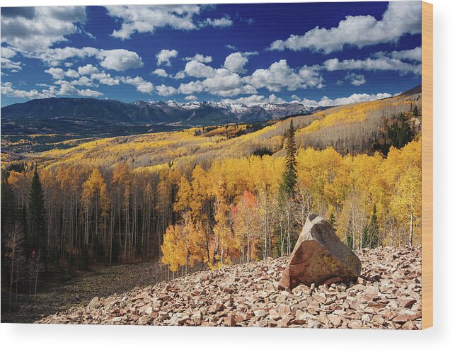 Scenics Wood Print featuring the photograph Aspen Forest by Piriya Photography