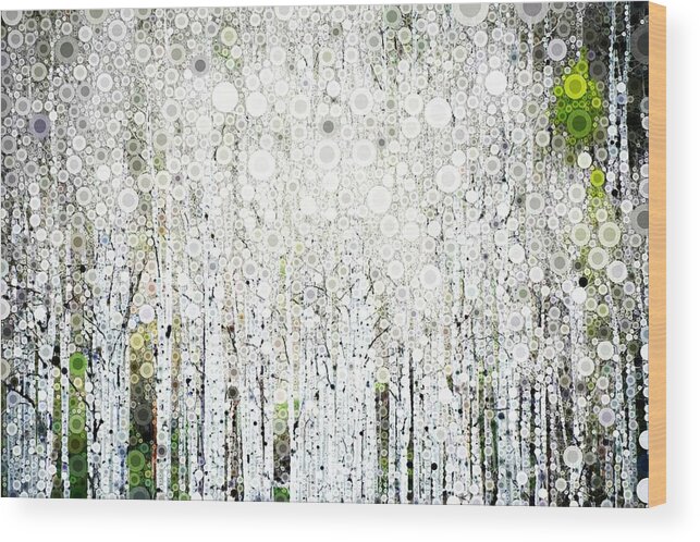 Aspen Wood Print featuring the digital art Aspens in the Spring by Linda Bailey