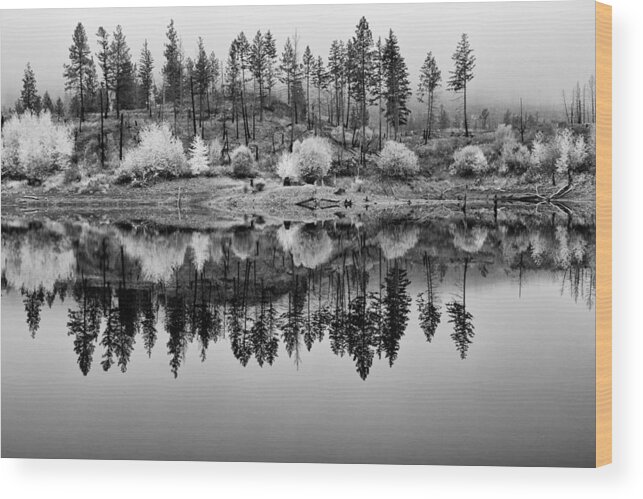 British Columbia Wood Print featuring the photograph Autumn Reflection Black and White by Allan Van Gasbeck