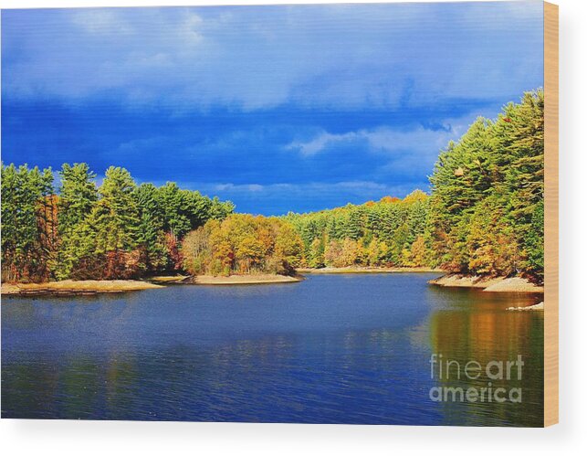 Autumn Wood Print featuring the photograph Autumn Day by Judy Palkimas