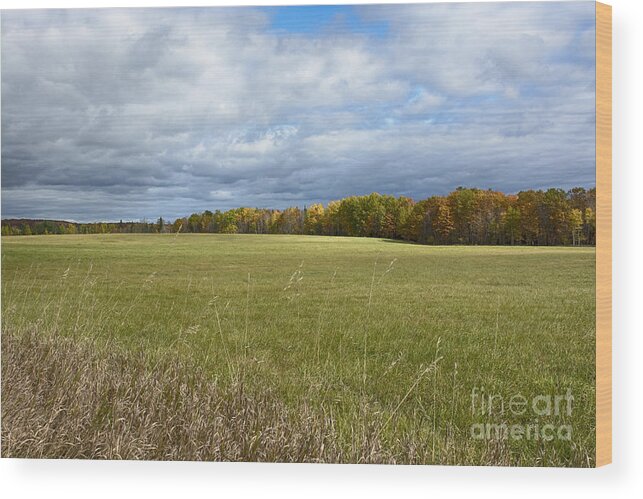 Autumn Landscape Wood Print featuring the photograph Autumn Afternoon by Dan Hefle