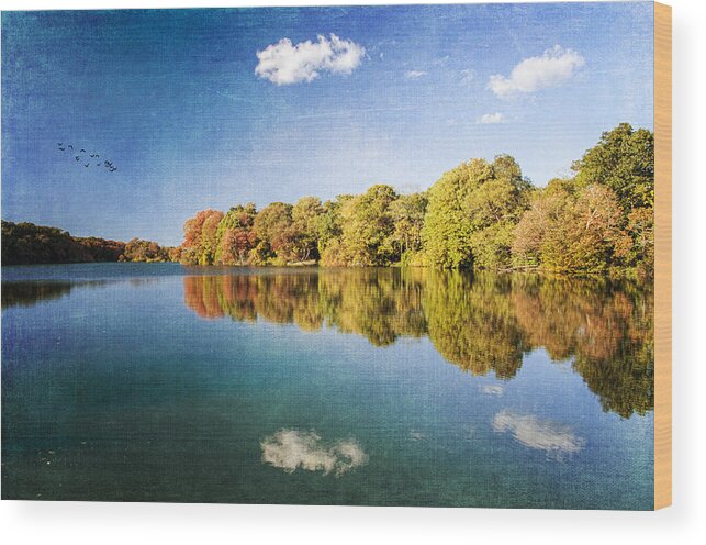 Pond Wood Print featuring the photograph Autumn At Twin Ponds by Cathy Kovarik