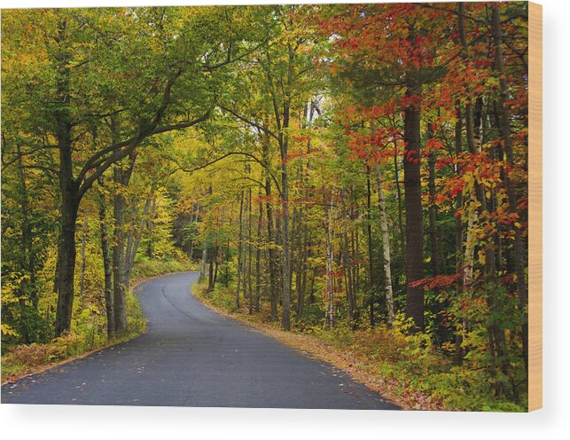 Autumn Wood Print featuring the photograph Autumn Backroads in New England by Donna Doherty