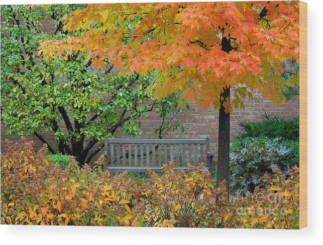 Bench Wood Print featuring the digital art Autumn bench by Glenn Morimoto