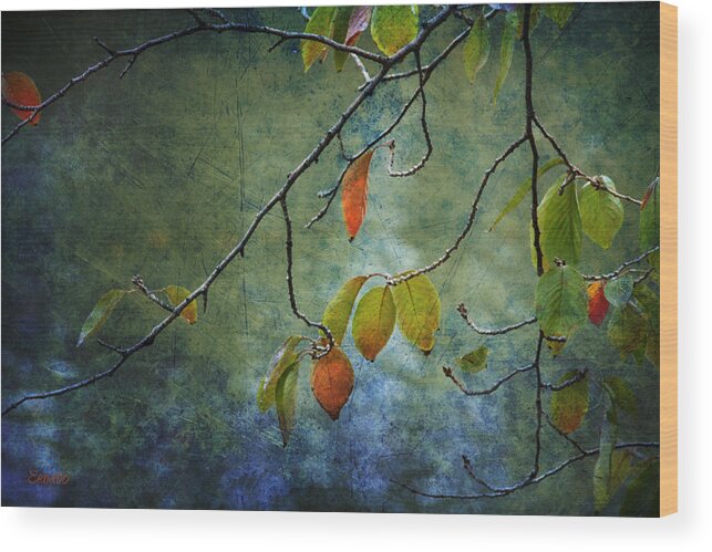 Autumn Wood Print featuring the photograph Autumn Colours by Eena Bo