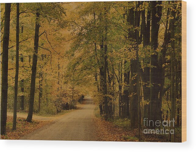 Country Road Wood Print featuring the photograph Autumn Country Road by Deborah Benoit