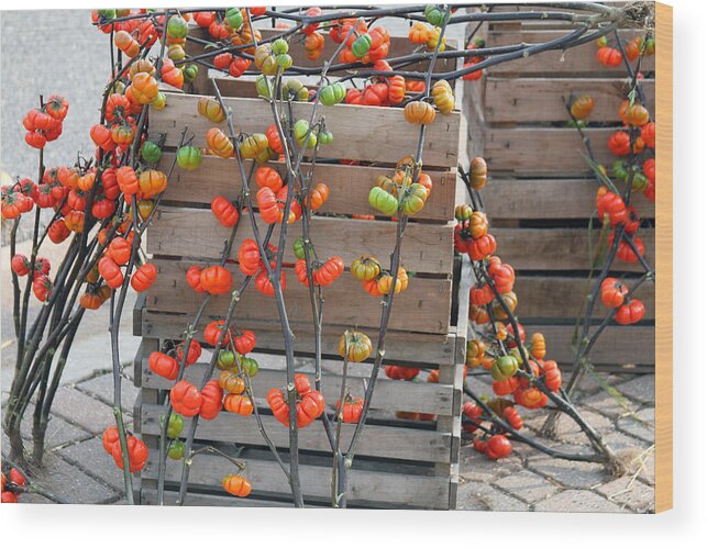 Tomato Wood Print featuring the photograph Autumn Decorations by Jackson Pearson