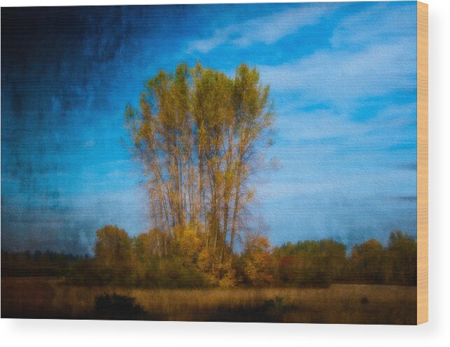 Autumn Wood Print featuring the photograph Autumn Dream by Larry Goss