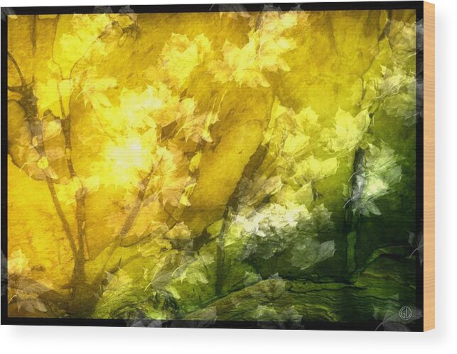Nature Wood Print featuring the digital art Autumn glow by Gun Legler