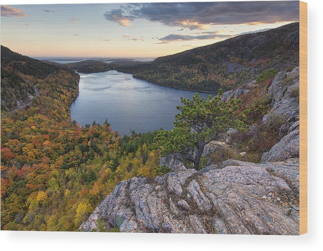 Maine Wood Print featuring the photograph Autumn Grandeur by Patrick Downey