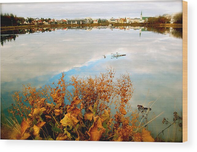 Reykjavik City Wood Print featuring the photograph Autumn Ice by HweeYen Ong