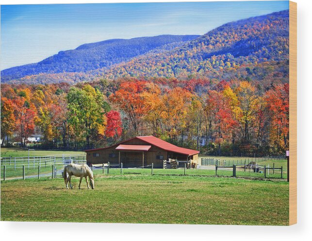 Rural Wood Print featuring the photograph Autumn in Rural Virginia by Lynn Bauer