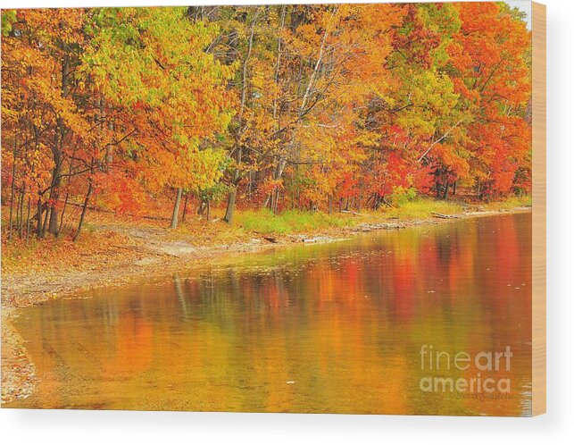 Autumn Wood Print featuring the photograph Great Balls of Fire by Terri Gostola