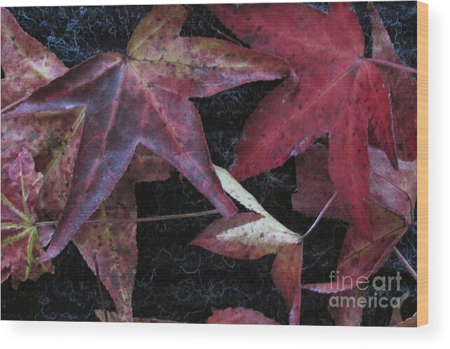 Autumn Wood Print featuring the photograph Autumn Leaves of Red by Nancy Rucker
