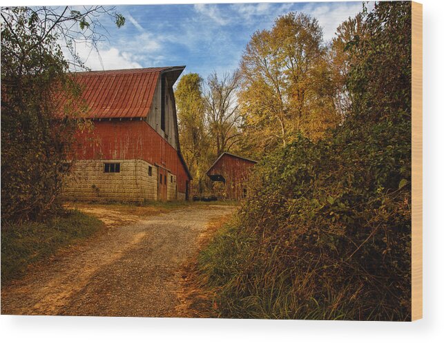 Autumn Wood Print featuring the photograph Autumn Light by Richard Macquade