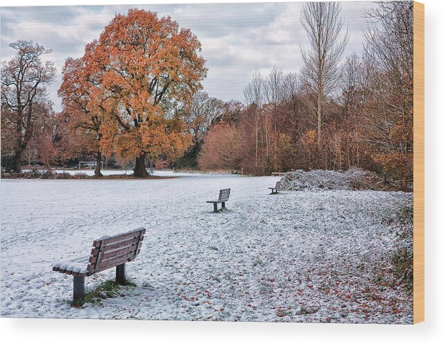 Shirley Mitchell Wood Print featuring the photograph Autumn meet Winter by Shirley Mitchell
