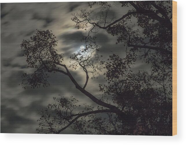Vermont Full Moon Wood Print featuring the photograph Autumn Moon by Tom Singleton