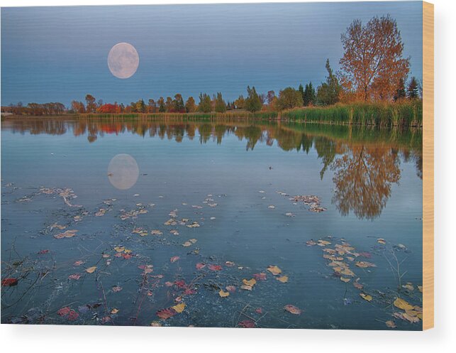 Tranquility Wood Print featuring the photograph Autumn Moonlight by Nebojsa Novakovic