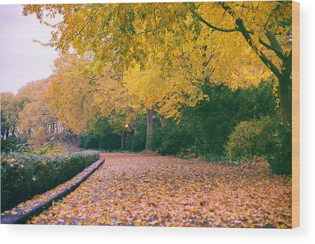 Nyc Wood Print featuring the photograph Autumn - New York City - Fort Tryon Park by Vivienne Gucwa