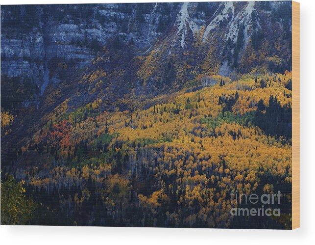 Autumn Wood Print featuring the photograph Autumn on the Mountain by Timpanogos Photography